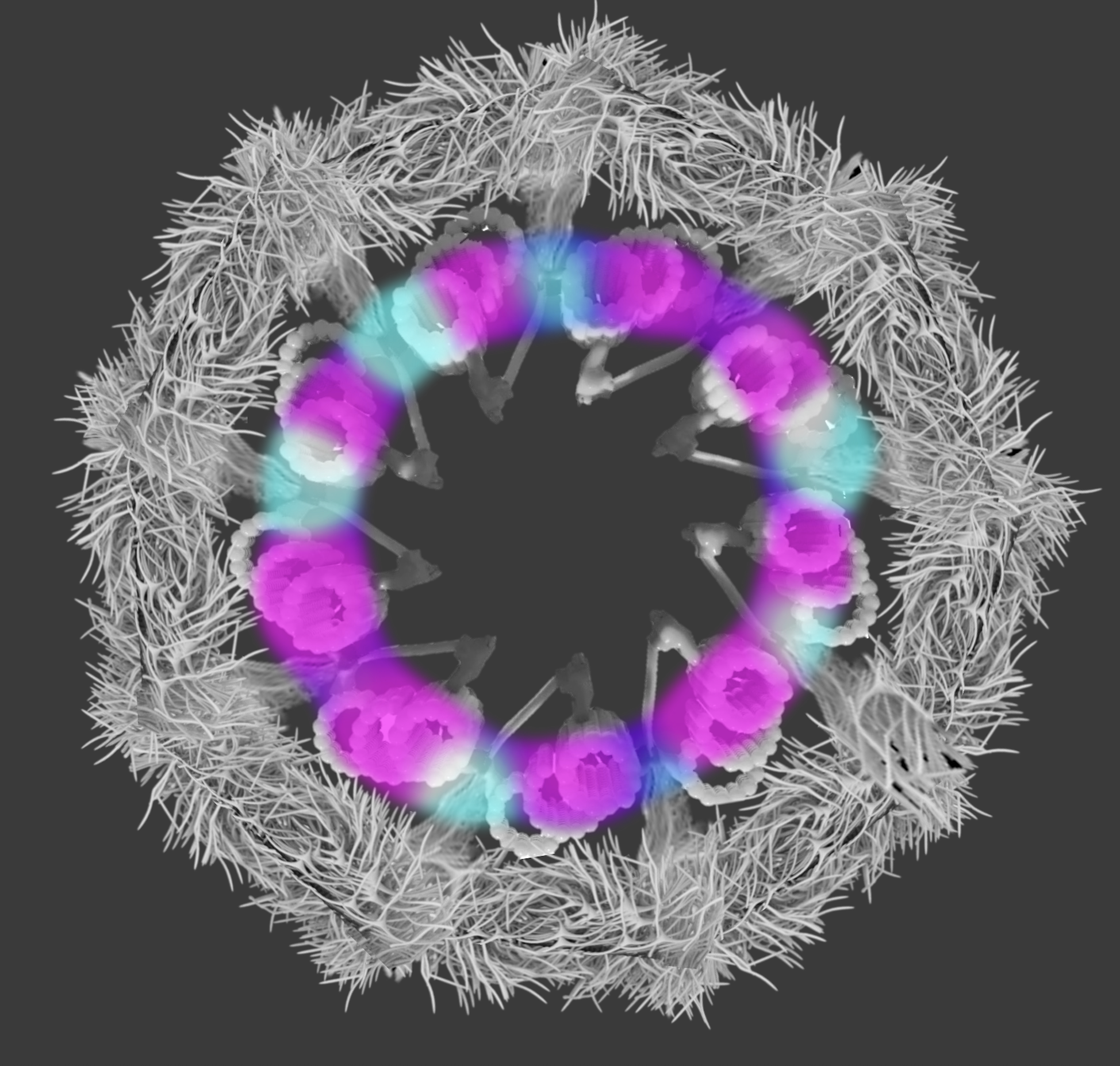 Screenshot 2025-07-26 at 12.53.45 PM.png