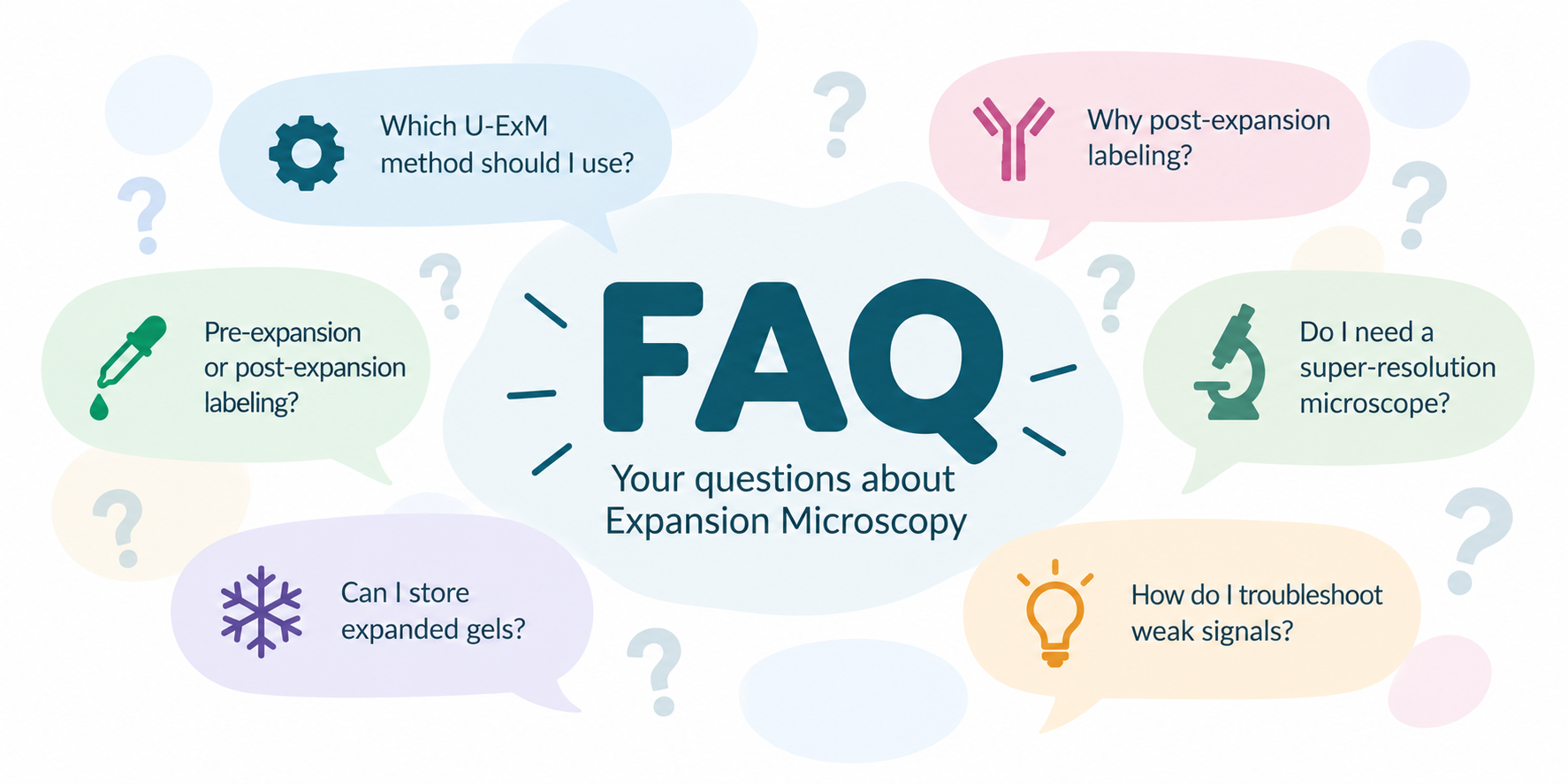 Expansion Microscopy FAQ Banner (1).png