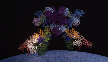 Capture d’écran 2026-02-13 à 11.08.30.png