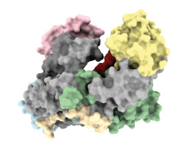 MIWI CryoEM no legends.jpg